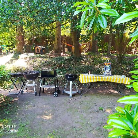 "La Selvetta" Bed And Breakfast Buguggiate Bagian luar foto