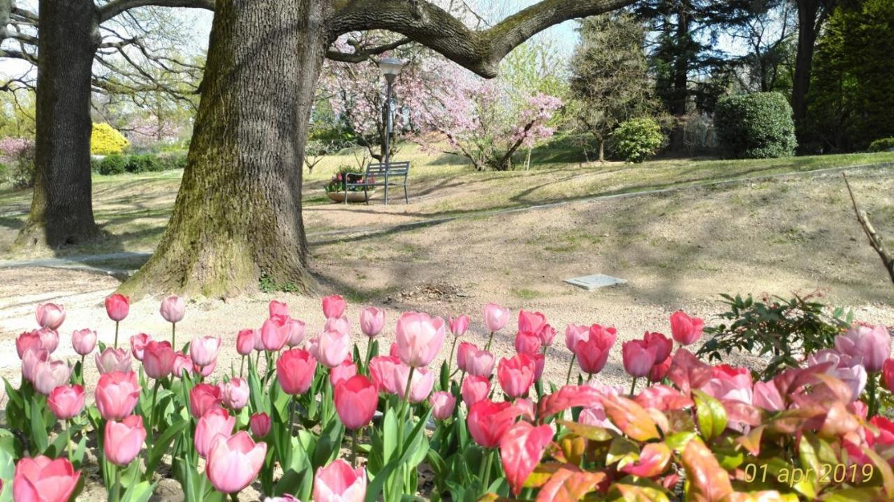 "La Selvetta" Bed And Breakfast Buguggiate Bagian luar foto