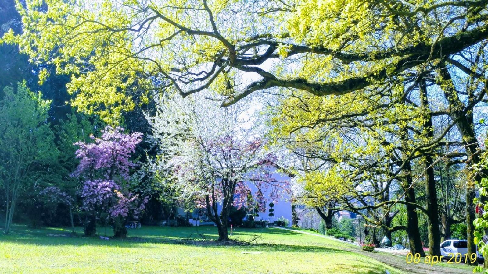 "La Selvetta" Bed And Breakfast Buguggiate Bagian luar foto