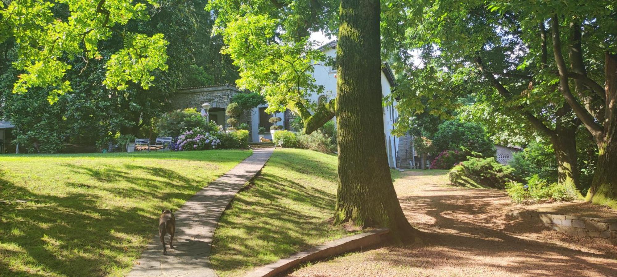 "La Selvetta" Bed And Breakfast Buguggiate Bagian luar foto