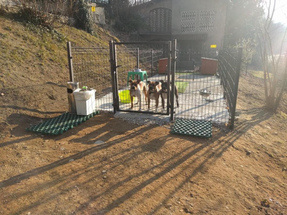 "La Selvetta" Bed And Breakfast Buguggiate Bagian luar foto